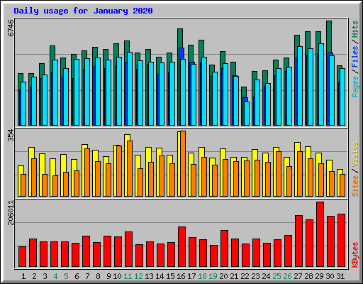 Daily usage for January 2020