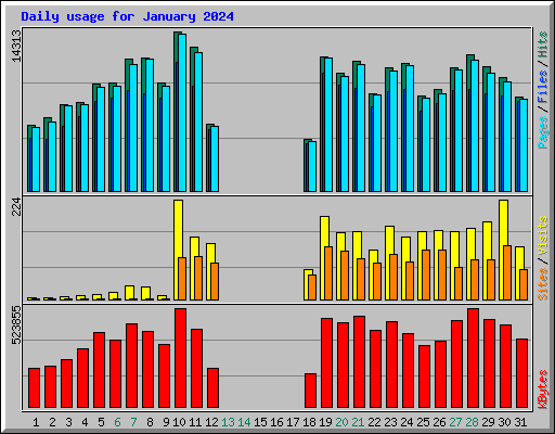 Daily usage for January 2024