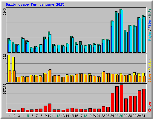 Daily usage for January 2025