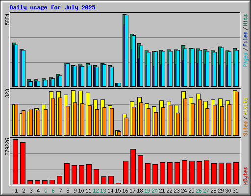 Daily usage for July 2025
