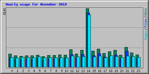 Hourly usage for November 2018