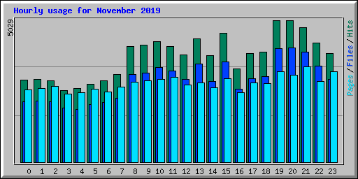 Hourly usage for November 2019