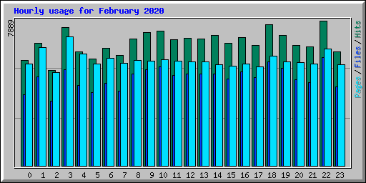 Hourly usage for February 2020