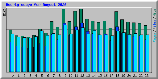 Hourly usage for August 2020