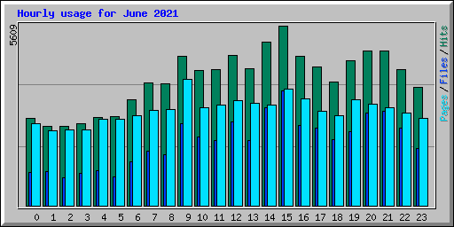 Hourly usage for June 2021