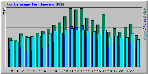 Hourly usage for January 2022
