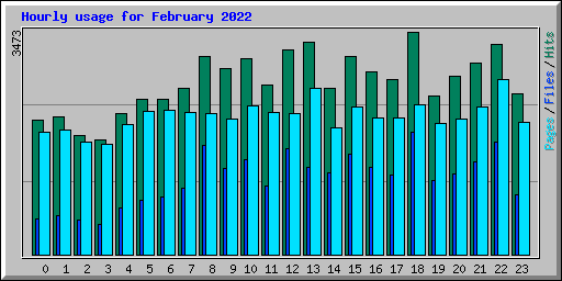 Hourly usage for February 2022