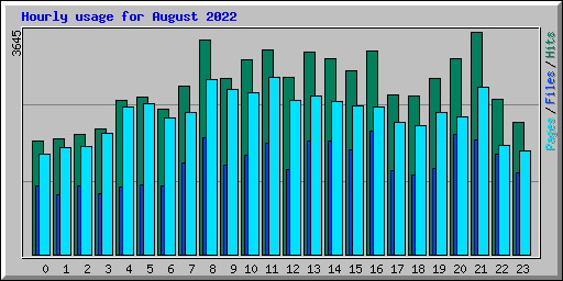 Hourly usage for August 2022