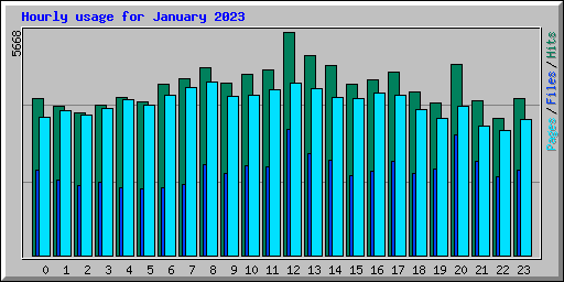 Hourly usage for January 2023