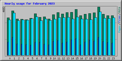 Hourly usage for February 2023