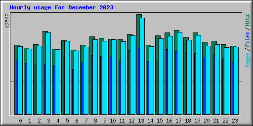 Hourly usage for December 2023