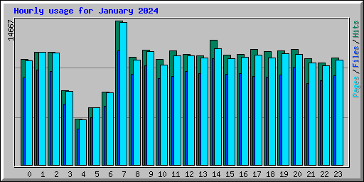 Hourly usage for January 2024