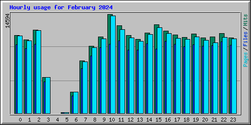 Hourly usage for February 2024