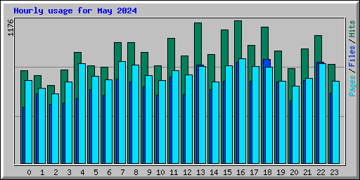 Hourly usage for May 2024