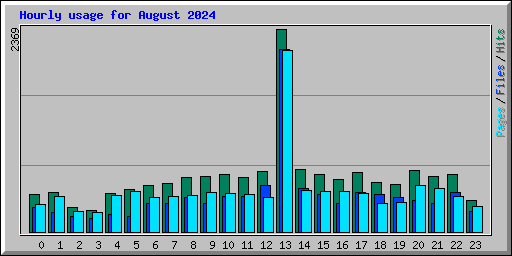 Hourly usage for August 2024