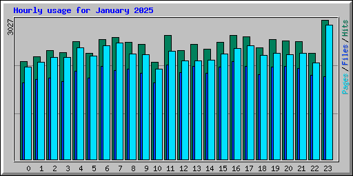Hourly usage for January 2025