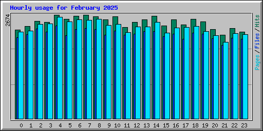 Hourly usage for February 2025