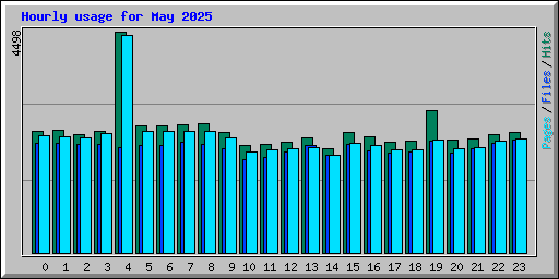 Hourly usage for May 2025