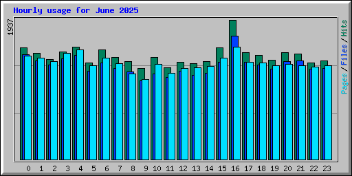 Hourly usage for June 2025
