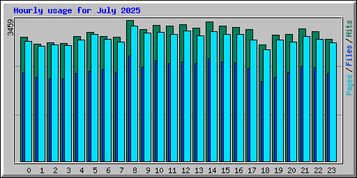 Hourly usage for July 2025