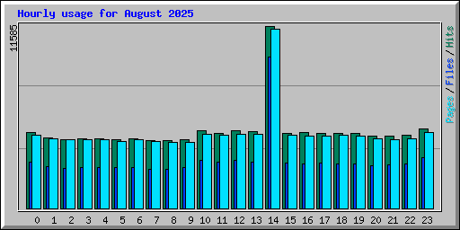 Hourly usage for August 2025