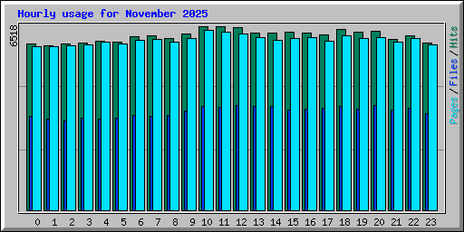 Hourly usage for November 2025
