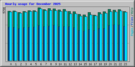 Hourly usage for December 2025