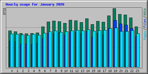 Hourly usage for January 2026